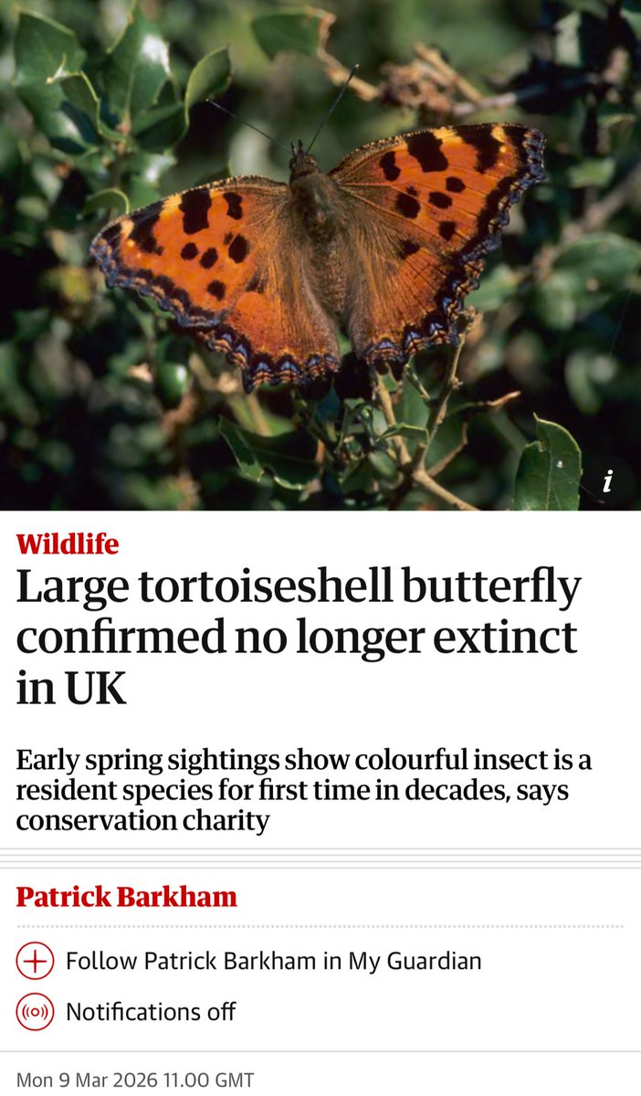 Look at this! See, we can save the planet - small steps, big impact @adamsmith Great news for #butterfles
