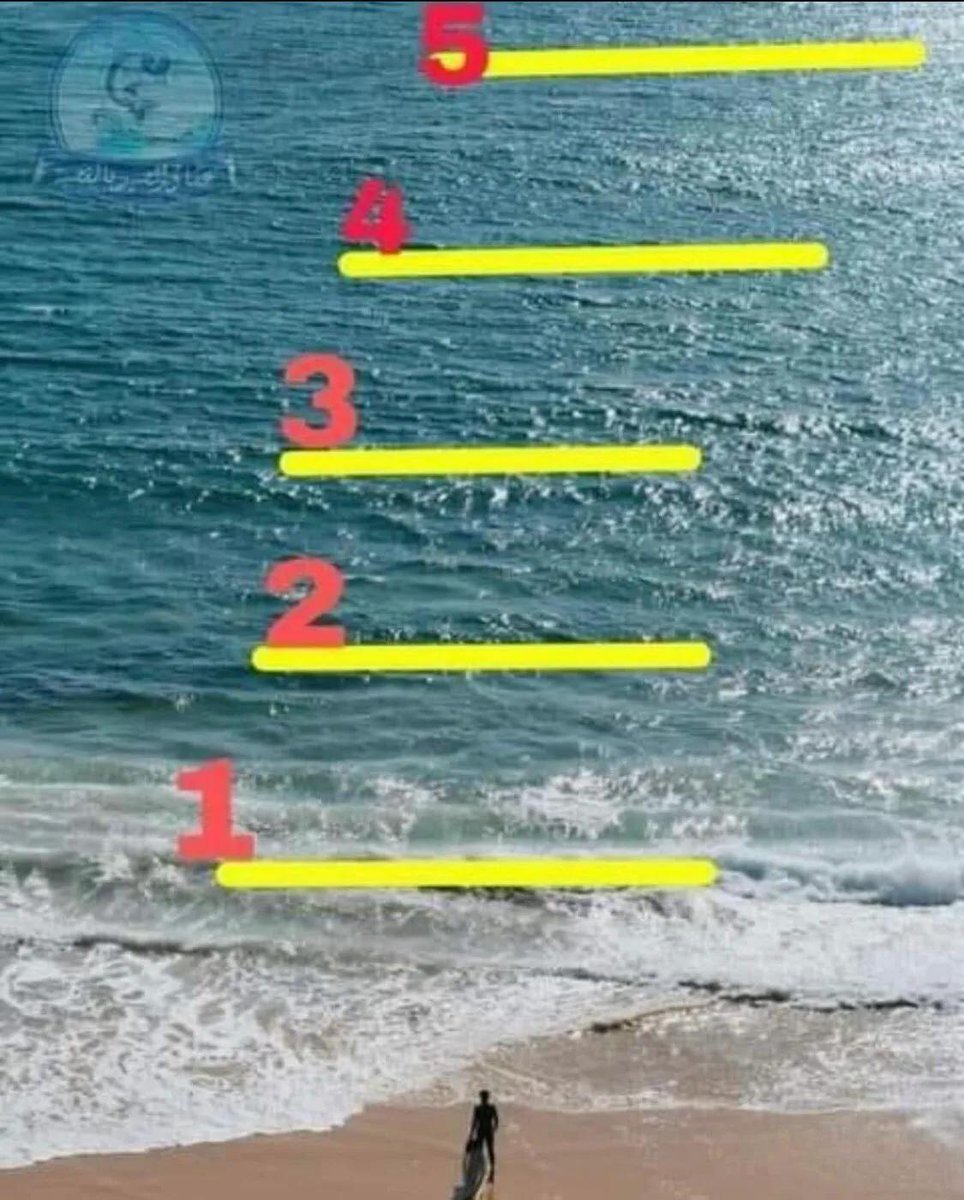 Pessi_lechomeur🏴 tweet media