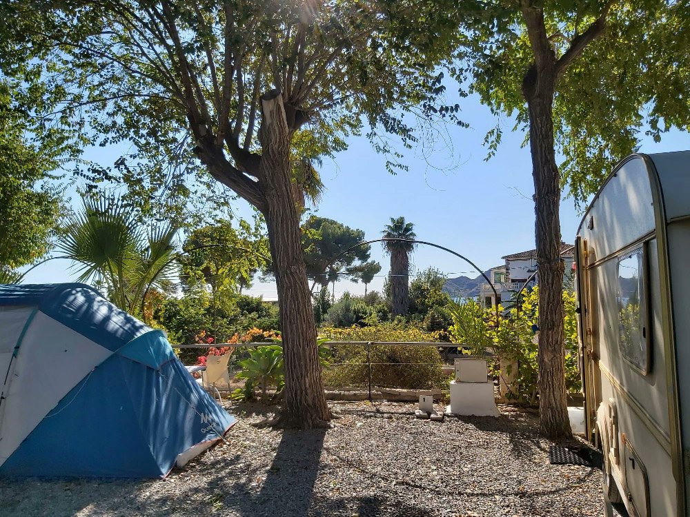 ⛺ Camping Santa Clara

Servicios para autocaravanas
Admite mascotas 
Servicio de lavadora 
Biblioteca
Wifi
Información de rutas de senderismo 

📍 Altea (Alicante)
🌊 Camping de costa (a 200 metros de la playa)
🗓️ Abierto de octubre a abril 

Info: campingscomunidadvalenciana.es/camping/santa-…
