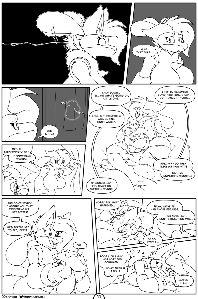 The C proyect tweet media