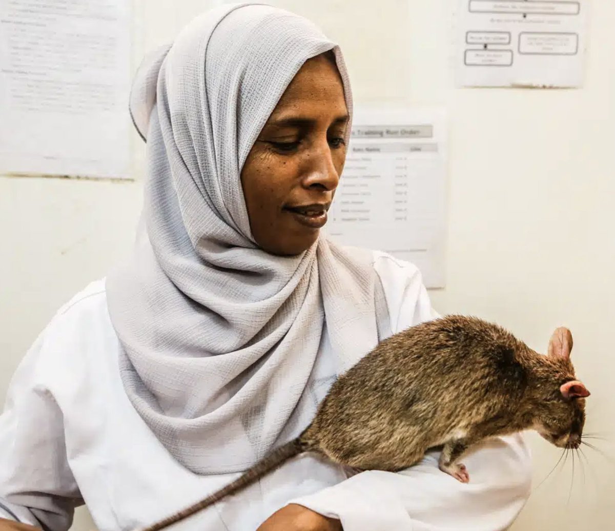 The Mueller Health Foundation tweet media