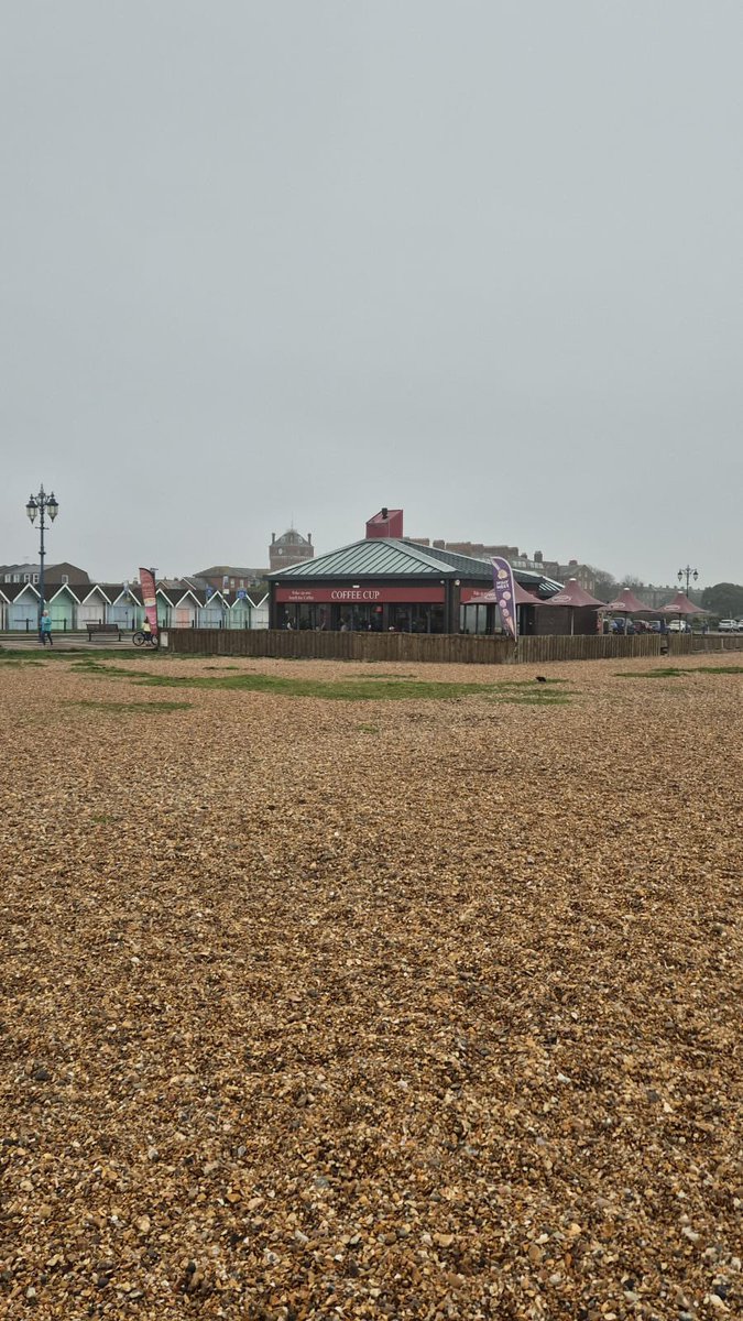 MenWalkTalk tweet media