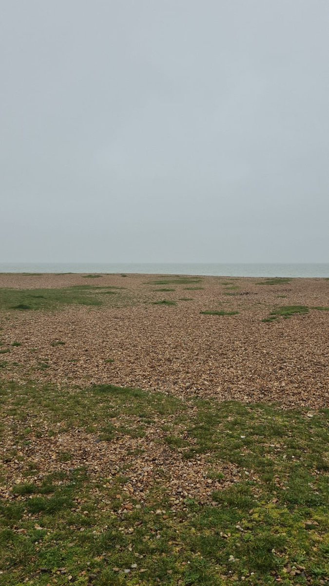 MenWalkTalk tweet media