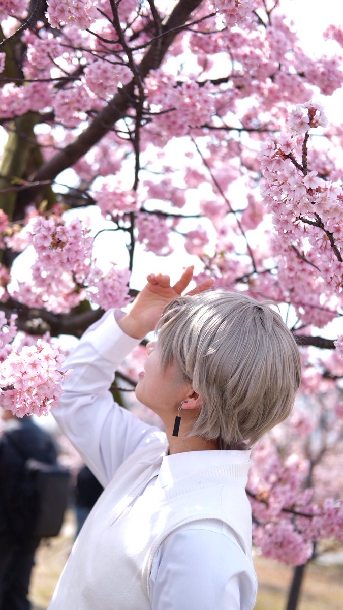 ヨシナ@🍵 tweet media