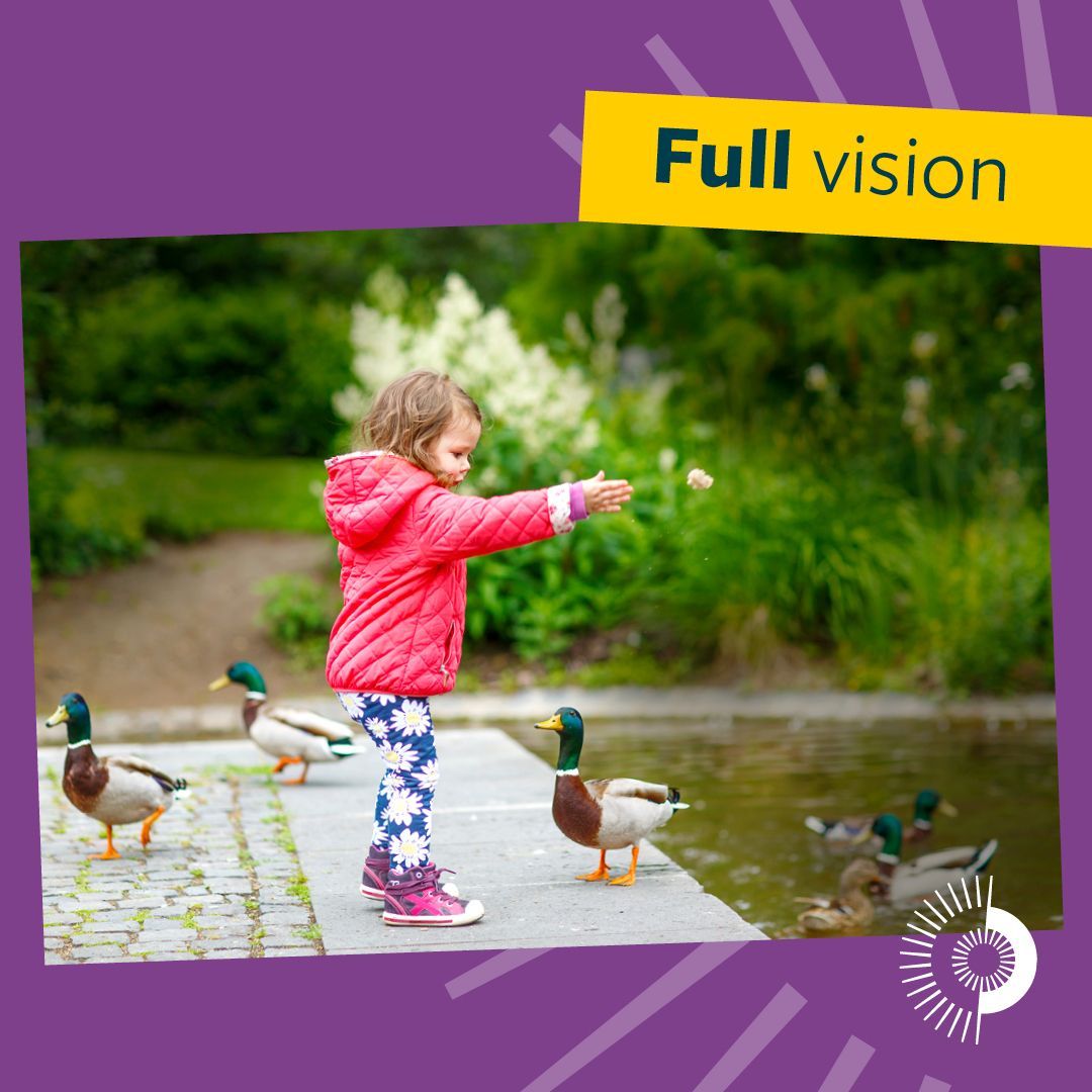 Glaucoma UK tweet media