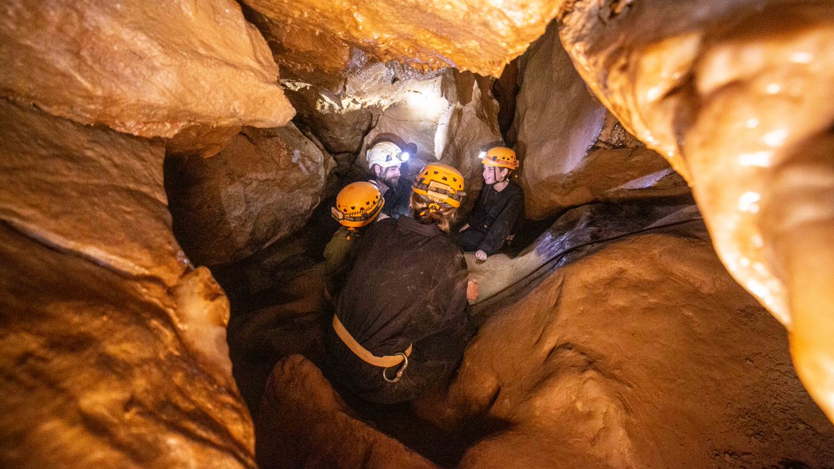 Cheddar Gorge & Caves tweet media