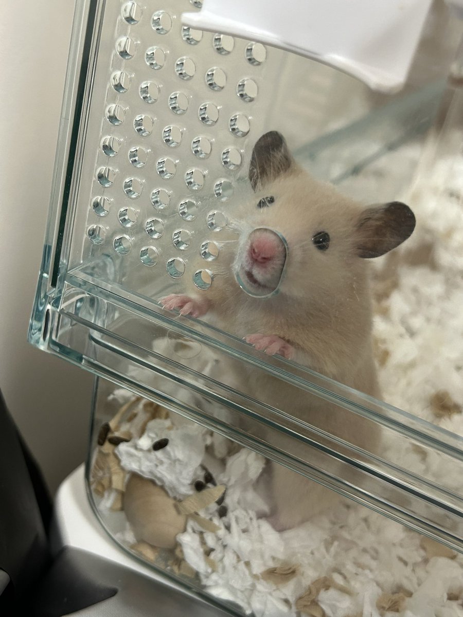 お水早くください