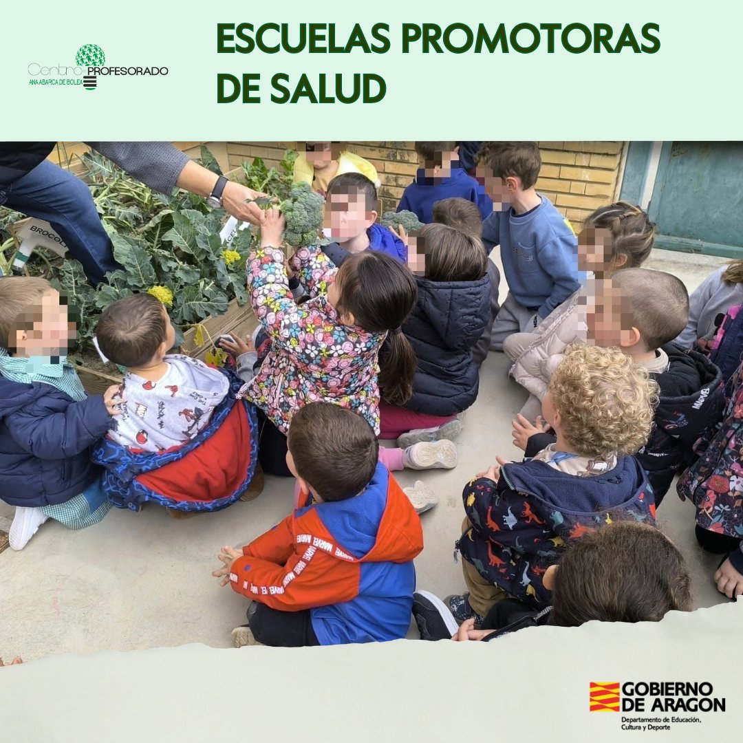 Centro de Profesorado Ana Abarca de Bolea tweet media