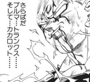 メイプル tweet media