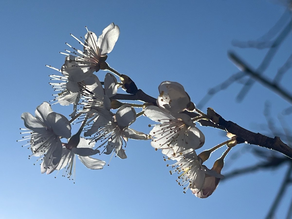 🌸るんば🍁るんば🍑 tweet media