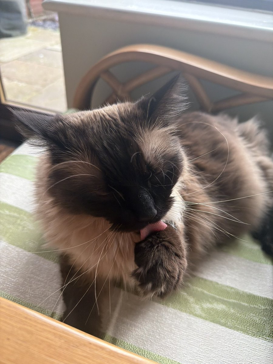 Robert Flute tweet media