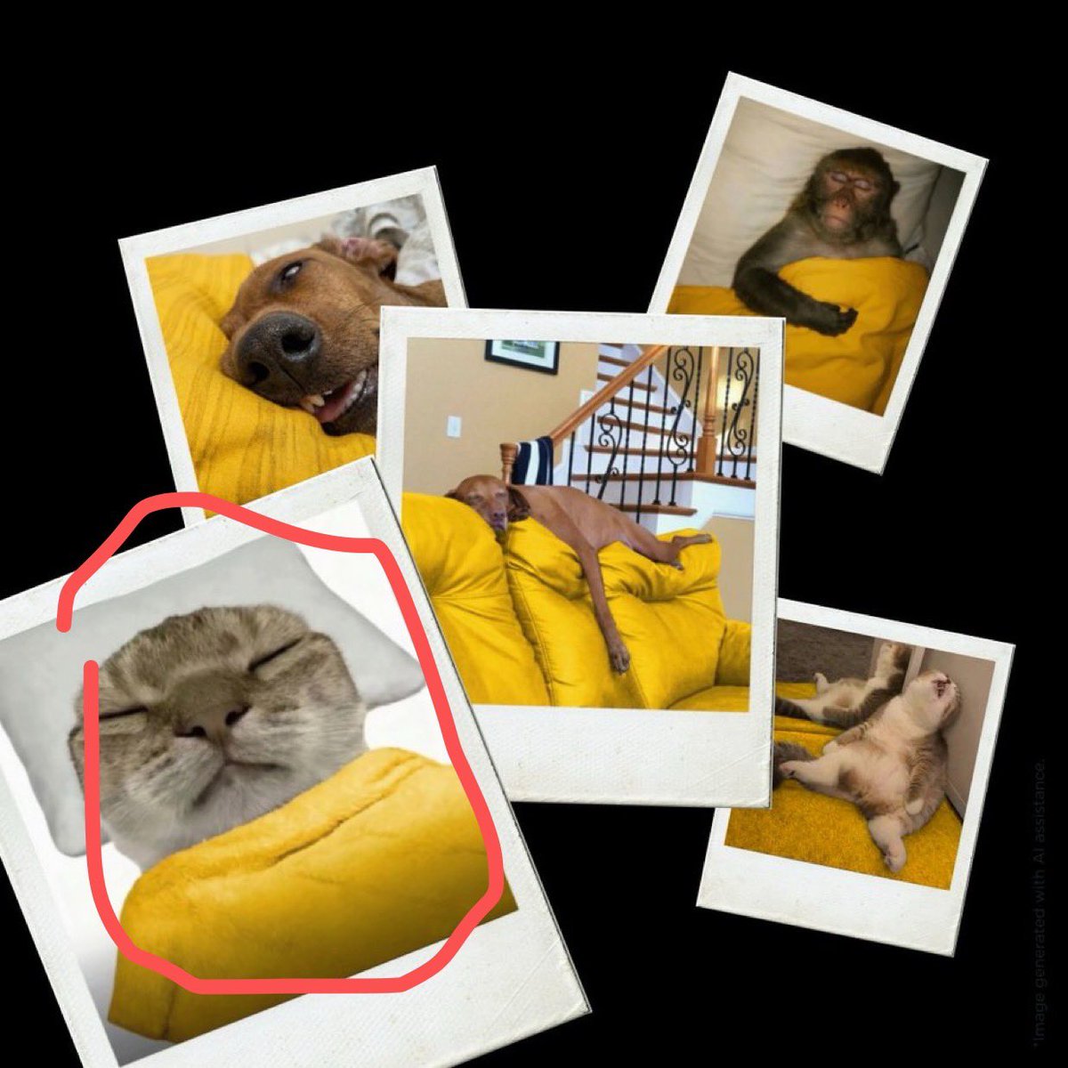 LaserCat397.eth tweet media