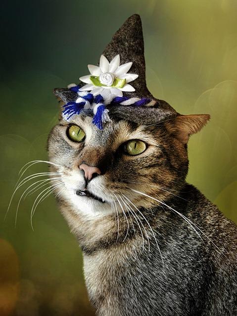 Rene Kerr tweet media