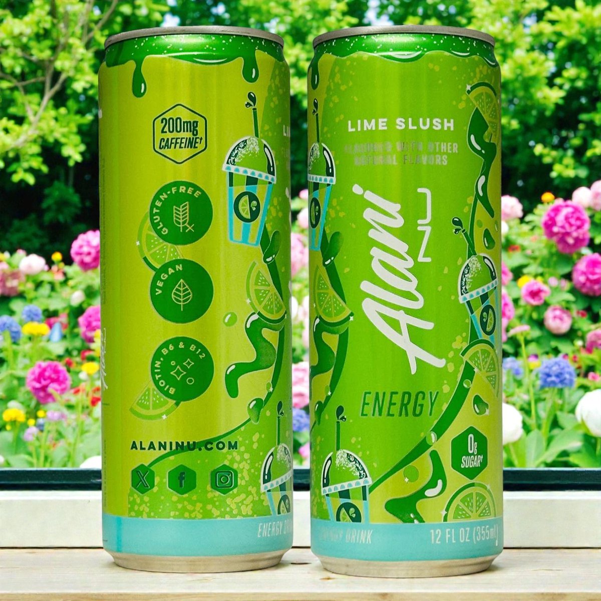 Can Museum tweet media