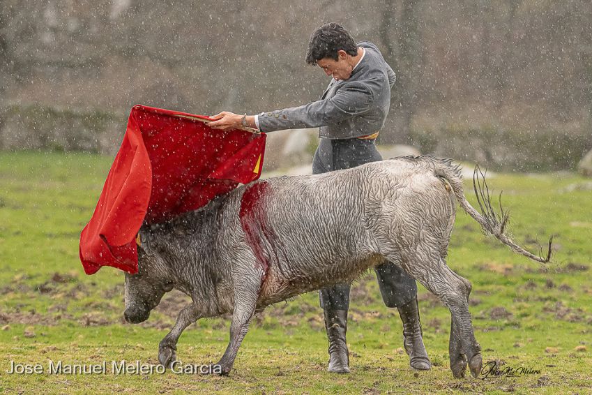 📝 ACTUALIDAD

👉 Diego García se recrea en la belleza toreando bajo la lluvia
chicuelinasytafalleras.com/actualidad/die…

📸 Josema Melero