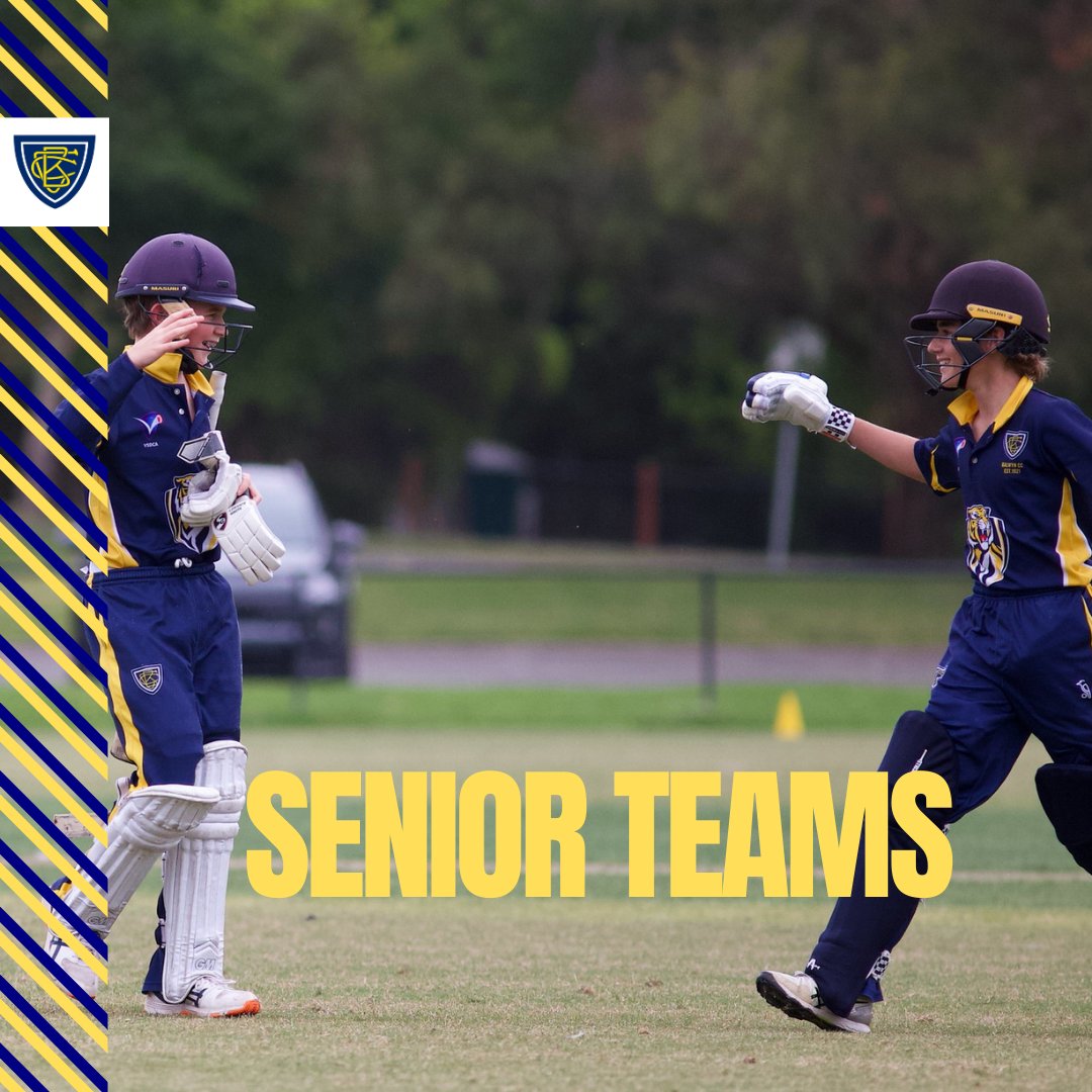 Balwyn Cricket Club 💛💙🐯🏏 tweet media