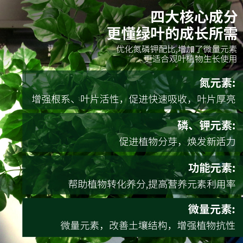 Caqiroe🩷 tweet media