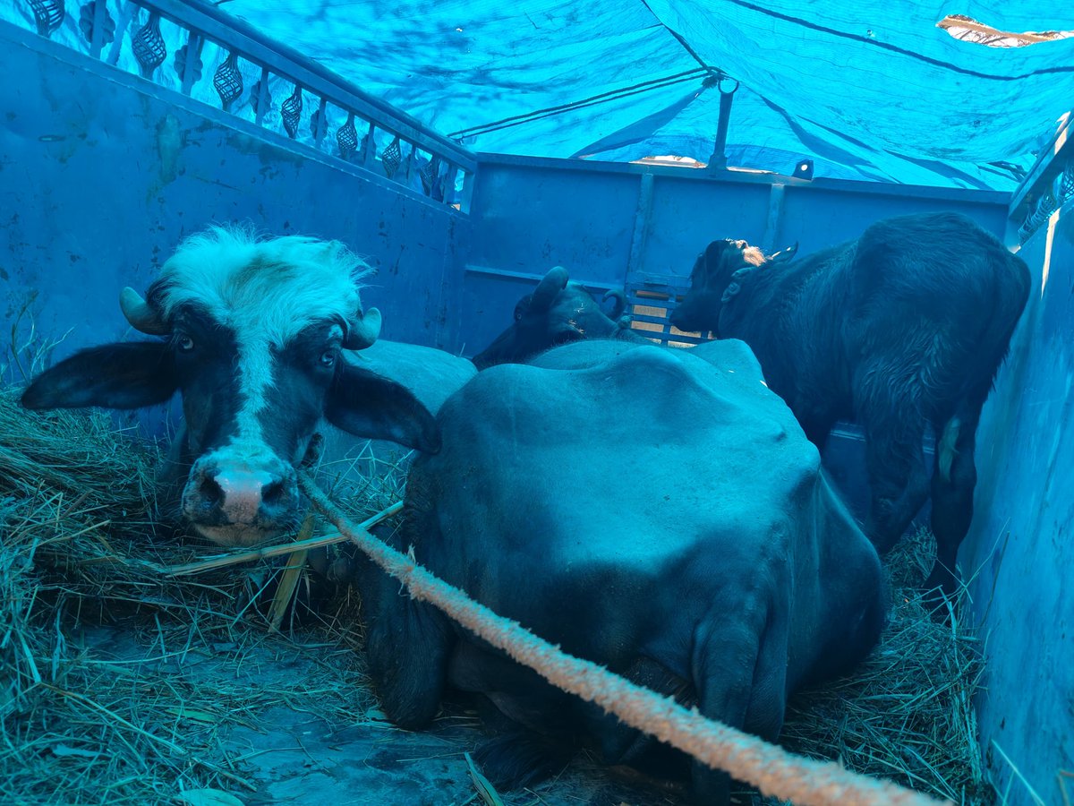 DISTRICT POLICE REASI tweet media