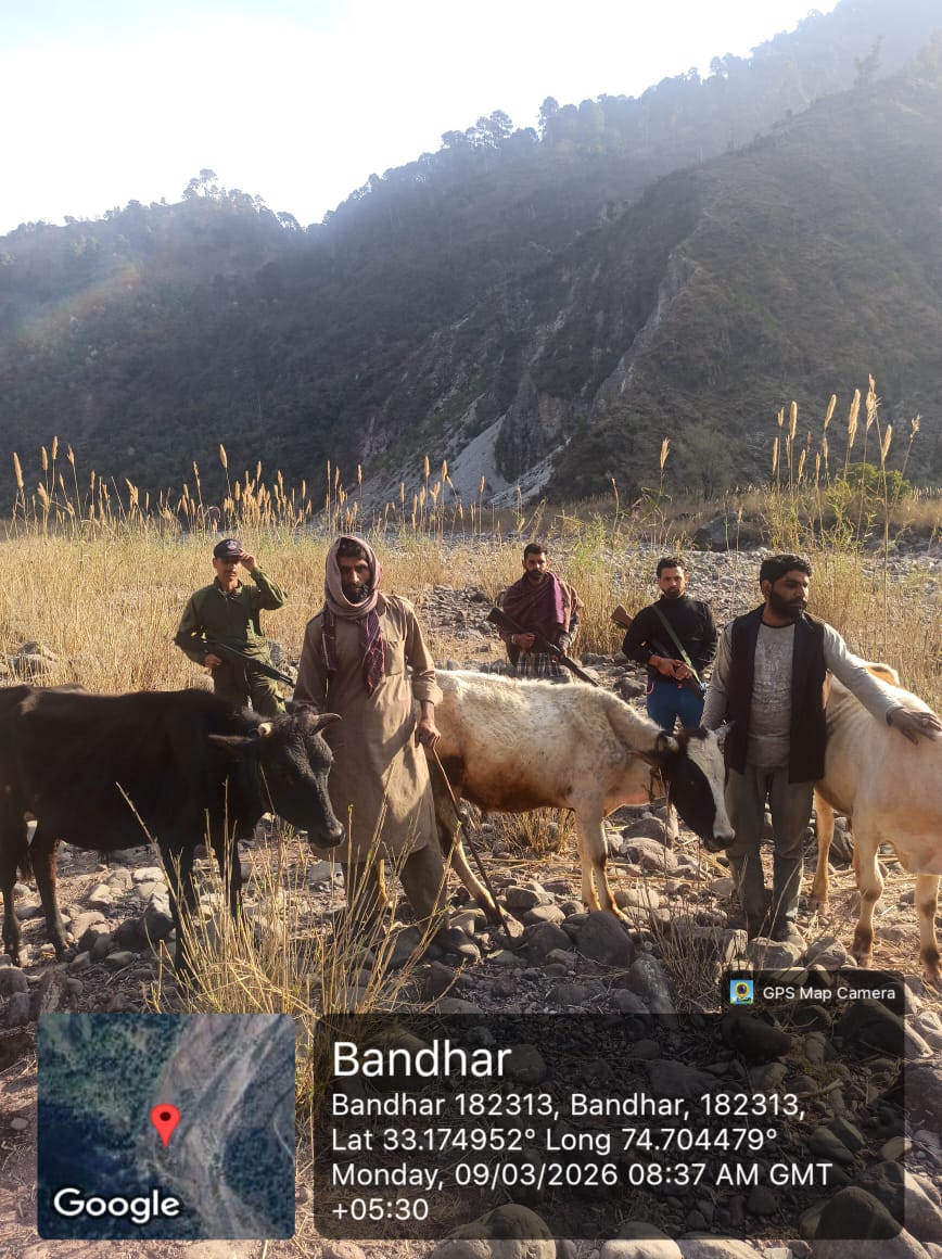 DISTRICT POLICE REASI tweet media