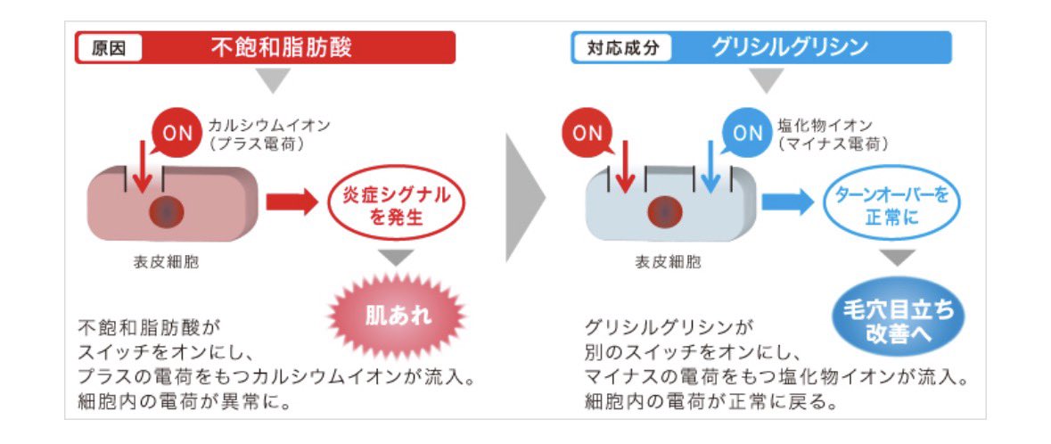 nana_binkanhada's tweet photo. グリシルグリシンは、すり鉢状の開き毛穴の原因となるイオンバランスの崩れにアプローチして毛穴の目立ちを改善してくれる成分！

頬などの開き毛穴が気になる方におすすめ✨ https://t.co/a77BWAHCaj