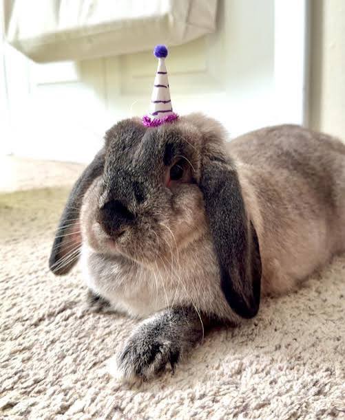 sydney 💝 tweet media