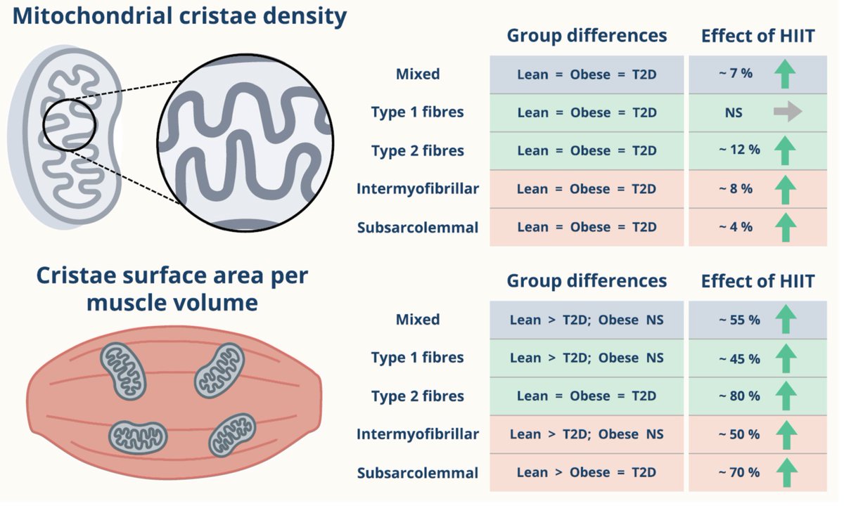 Niels Ørtenblad tweet media