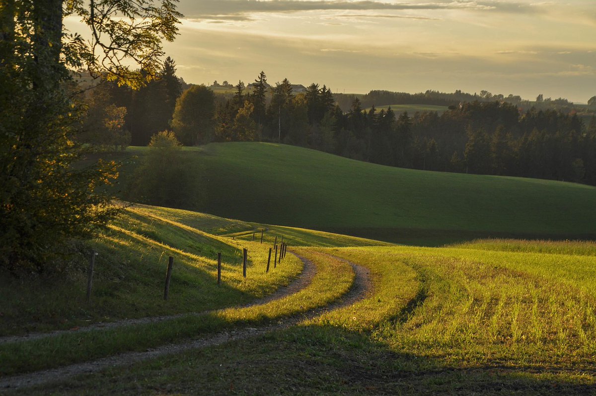 Fred Reid tweet media