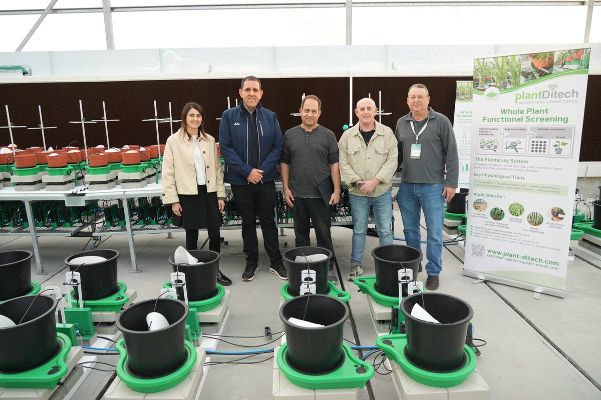 Plant-Ditech tweet media