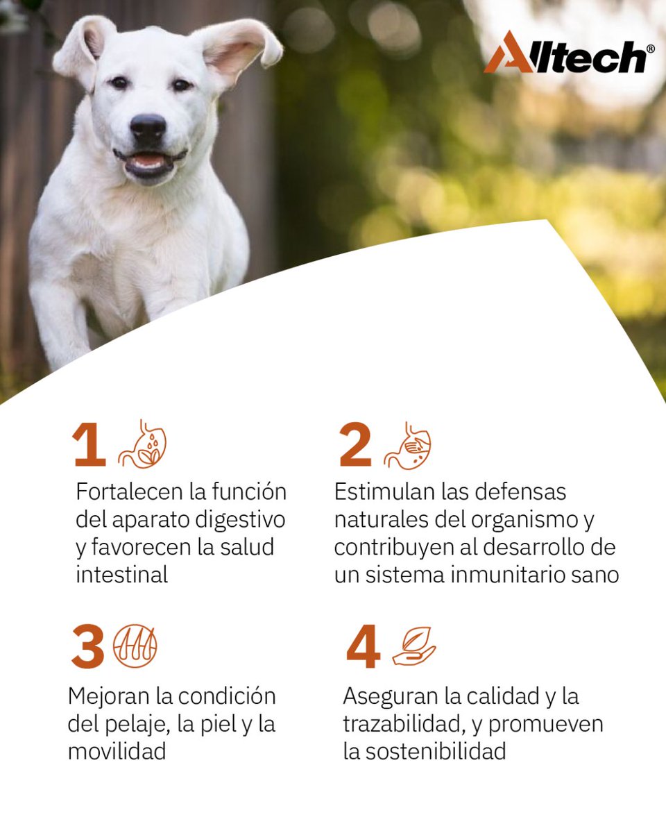 Alltech Spain tweet media