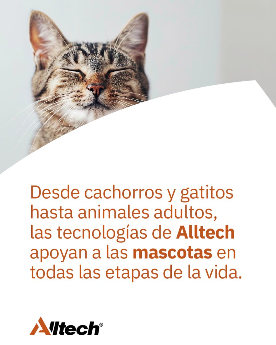 Alltech Spain tweet media