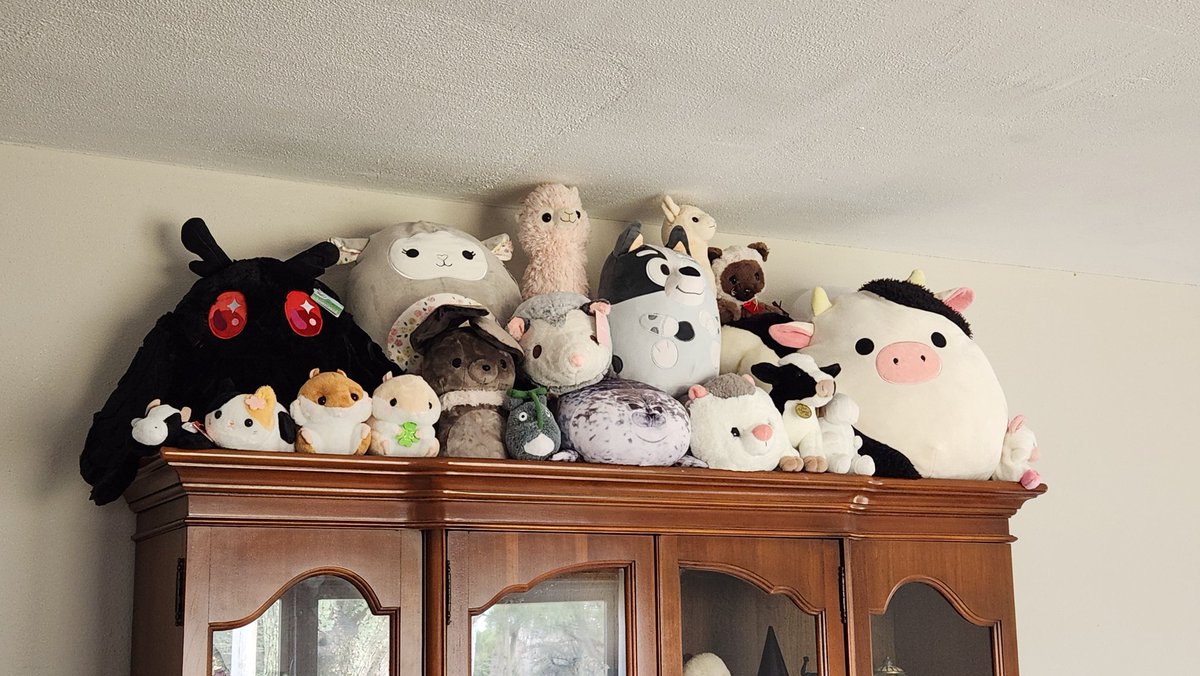 𝕊𝕚𝕖𝕣𝕣𝕒 🦋 (=ↀωↀ=) tweet media