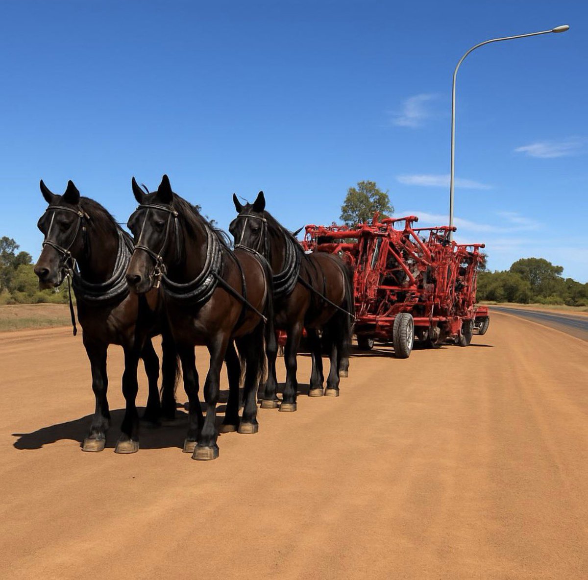 Tim Montague tweet media