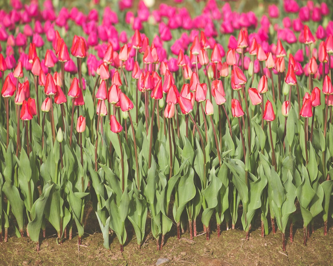 Eric Muhr tweet media