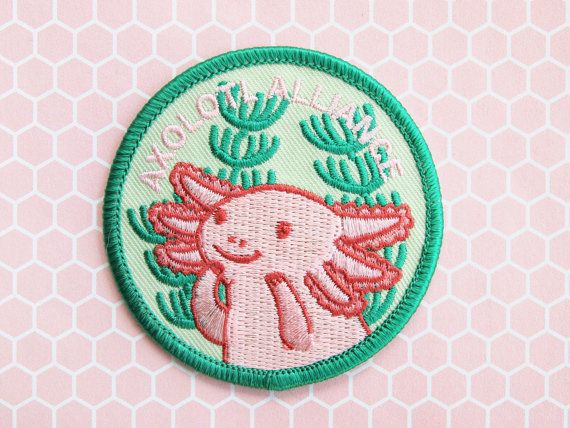 NicePatches's tweet photo. Your vibe, stitched to perfection—custom patches that turn basic jackets and bags into conversation starters. Swipe to see real customer makes!

https://t.co/6Y8AhcpReo
#CustomEmbroideredPatches 
#StreetwearUpgrade 
#PatchCollection 
#EmbroideryLove 
#DIYCulture https://t.co/a8v4XLmHXF