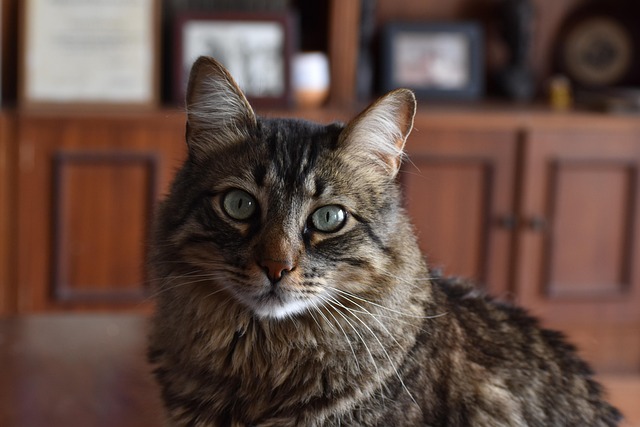 James Stephens tweet media