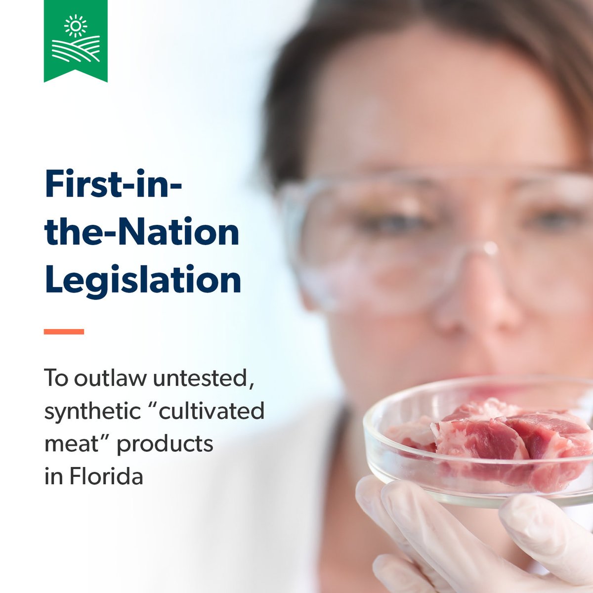 Wilton Simpson tweet media