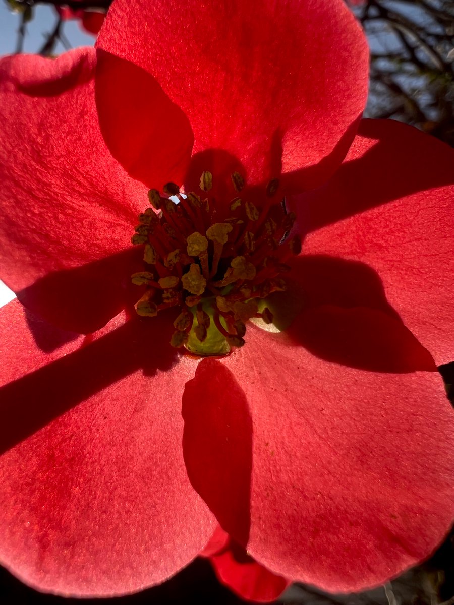 🌸るんば🍁るんば🍑 tweet media