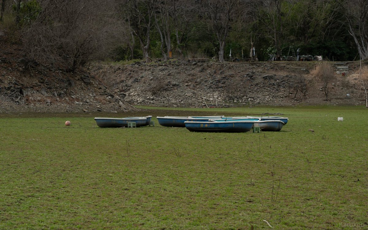 カルクウ tweet media