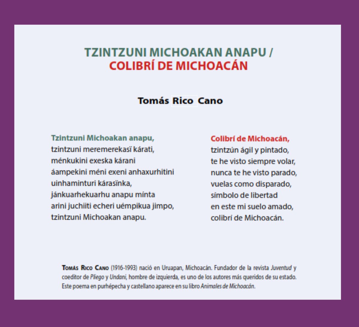 Tomás N. RICO-MORA (Jiuatsï), MCP-SPURS (@MITdusp) tweet media