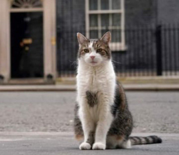 Phil Jones tweet media