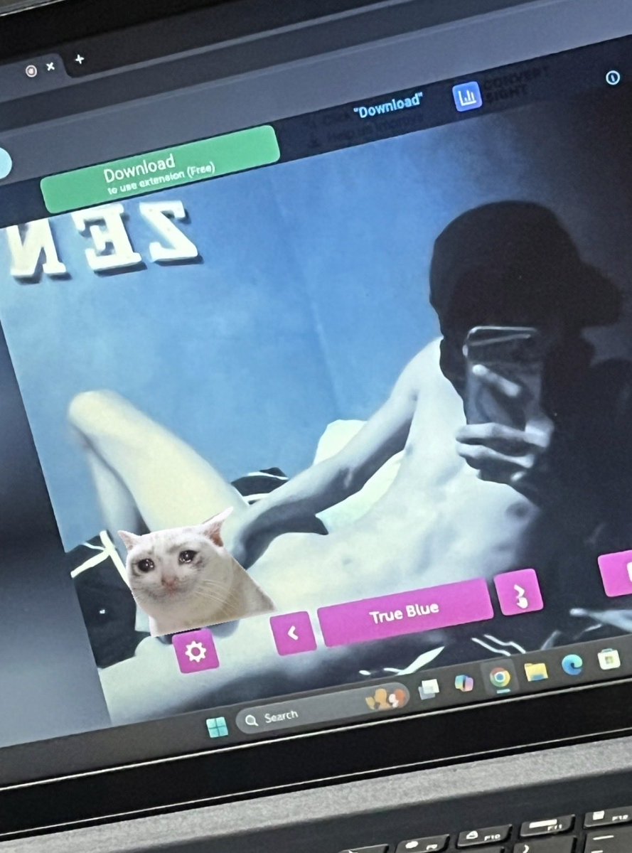 whotfiszentho tweet media