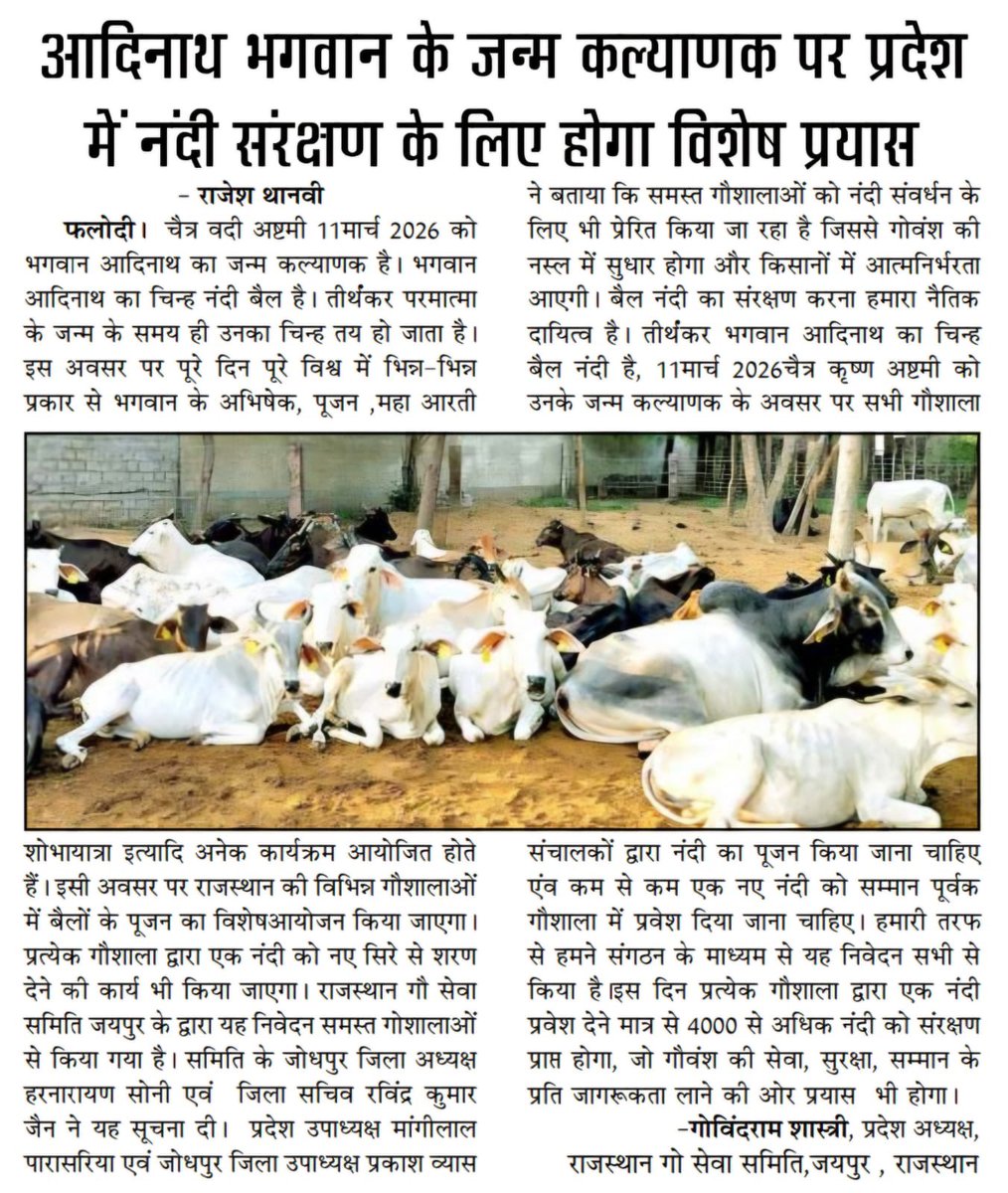 SamastMahajan's tweet photo. नंदी संरक्षण की प्रेरक पहल: 

राजस्थान में समस्त महाजन की गौसेवा का एक महत्वपूर्ण अध्याय

वर्ष 2019 में राजस्थान में भीषण अकाल की स्थिति उत्पन्न हुई थी। कई जिलों में चारा और पानी की भारी कमी के कारण हजारों गौवंश और बैल (नंदी) भूख और प्यास से जूझ रहे थे। उस समय अनेक स्थानों पर पशुओं के लिए जीवन बचाना ही सबसे बड़ी चुनौती बन गया था। ऐसे कठिन समय में समस्त महाजन ने आगे बढ़कर गौसेवा का एक महत्वपूर्ण अभियान प्रारम्भ किया—चारा वितरण कार्यक्रम।

इस सेवा कार्य का नेतृत्व समस्त महाजन के ट्रस्टी श्री देवेंद्रभाई ने किया। राजस्थान की तपती धरती पर जब तापमान 45 से 50 डिग्री सेल्सियस तक पहुंच रहा था, तब भी उन्होंने लगभग दो महीनों तक वहीं रहकर अत्यंत समर्पण और परिश्रम से इस अभियान को संचालित किया। दूर-दूर की गौशालाओं और पशुपालकों तक चारा पहुँचाकर हजारों पशुओं को भूख से बचाने का यह कार्य वास्तव में अद्वितीय था। स्थानीय समाज, गौशालाओं और दानदाताओं ने भी इस सेवा कार्य में भरपूर सहयोग दिया।

इसी सेवा अभियान के दौरान कुशलवाटिका परिसर, बाड़मेर में एक महत्वपूर्ण बैठक एवं कार्यक्रम आयोजित किया गया, जिसमें उस समय के राजस्थान के गौपालन मंत्री श्री प्रमोद जैन भाया सहित अनेक प्रतिष्ठित जनप्रतिनिधि, गौसेवक और ट्रस्टों के प्रतिनिधि उपस्थित थे। समस्त महाजन द्वारा किए जा रहे सेवा कार्यों को देखकर मंत्री श्री प्रमोद भाया अत्यंत प्रभावित हुए। उन्होंने उसी मंच से एक महत्वपूर्ण घोषणा करते हुए “नंदीशाला” की स्थापना के लिए भूमि उपलब्ध कराने और लगभग ₹1.57 करोड़ की सरकारी सहायता देने की घोषणा की।

यह निर्णय केवल एक प्रशासनिक घोषणा नहीं था, बल्कि गौवंश संरक्षण की दिशा में एक दूरदर्शी कदम था। अक्सर देखा जाता है कि नंदी (बैल) सड़कों पर भटकते रहते हैं, जिससे उन्हें दुर्घटनाओं का खतरा रहता है। कई बार वे अवैध गतिविधियों या वधशालाओं तक भी पहुँच जाते हैं। ऐसी स्थिति में नंदीशालाओं की स्थापना उनके लिए सुरक्षित आश्रय प्रदान करती है।

नंदीशालाओं का महत्व केवल संरक्षण तक सीमित नहीं है। नंदी से प्राप्त गोबर प्राकृतिक खेती के लिए अमूल्य संसाधन है। इससे जैविक खाद, गोबर गैस और प्राकृतिक कृषि प्रणाली को बढ़ावा मिलता है, जिससे किसानों की लागत घटती है और भूमि की उर्वरता बढ़ती है। इस प्रकार नंदी संरक्षण गौसेवा, पर्यावरण संरक्षण और आत्मनिर्भर कृषि—तीनों के लिए अत्यंत महत्वपूर्ण है।

आज जब हम पीछे मुड़कर देखते हैं, तो यह स्पष्ट होता है कि उस समय की गई यह पहल केवल एक तत्कालीन राहत कार्य नहीं थी, बल्कि दीर्घकालीन गौसंरक्षण और ग्रामीण अर्थव्यवस्था को सशक्त बनाने की दिशा में एक ऐतिहासिक कदम थी। समस्त महाजन की प्रेरणा, स्थानीय समाज का सहयोग और सरकार की सकारात्मक पहल—इन तीनों के समन्वय से राजस्थान में नंदी संरक्षण का एक सशक्त मॉडल विकसित हुआ।

यह उदाहरण बताता है कि जब समाज, सेवा संस्थाएँ और शासन मिलकर कार्य करते हैं, तो गौसेवा और प्रकृति संरक्षण की दिशा में बड़े परिवर्तन संभव हो जाते हैं।
-
गिरीश शाह 
मैनेजिंग ट्रस्टी 
समस्त महाजन
