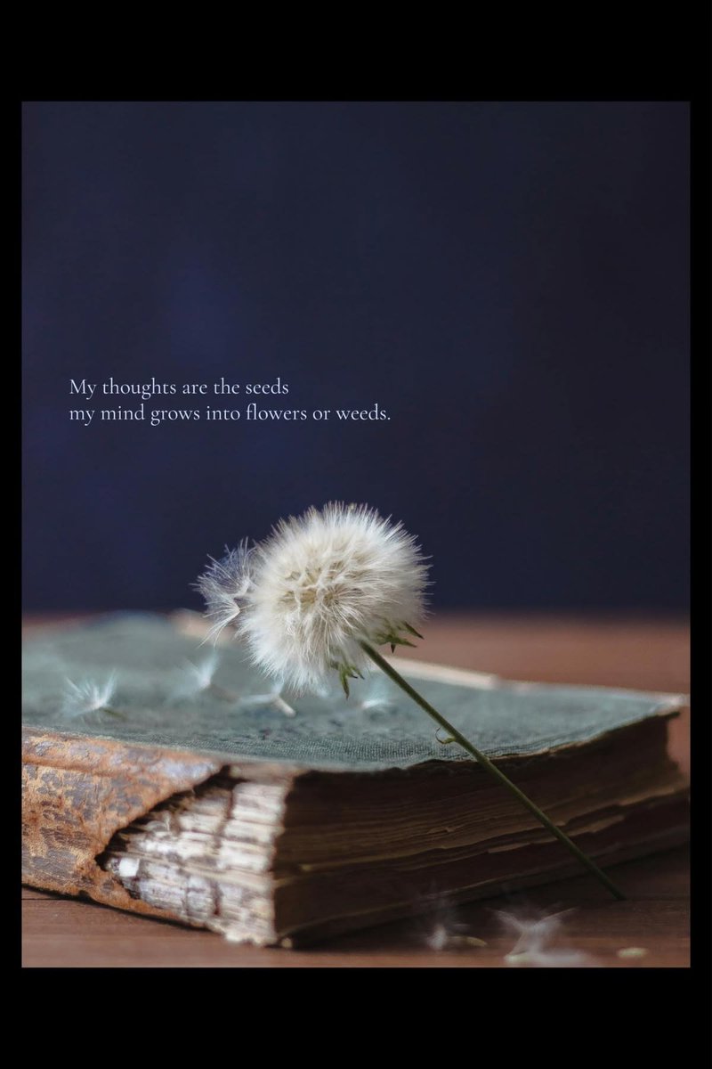 whisperingpoems's tweet image. #vss365 
seed of a poem
sleeps not in still waters,
but in the caprice of storms,
where #lightning etches
on pages frayed

seed of a poem
is forged in arms of pain
spinning like clockwork,
born in memories that ravage
time and time again

seed of a poem
is a fall of words
upon a