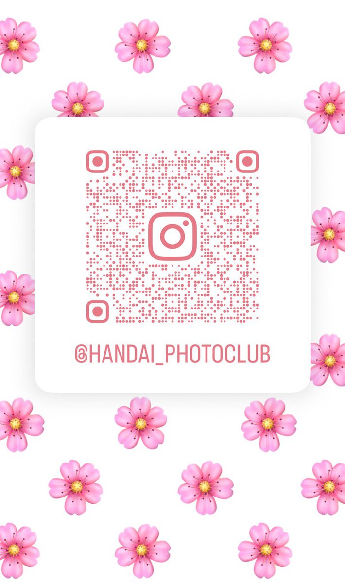 handaiphoto's tweet photo. ご質問や入部希望はInstagramのDMで行っていますので興味があればぜひ。また、3月11日より中崎町で展示会も開催していますので、活動のイメージを深めるために見学もオススメです👀
みなさまと一緒に活動できることを楽しみにしています☺️

#春から阪大 
#大阪大学 
#写真部 https://t.co/zbnRjLE91J