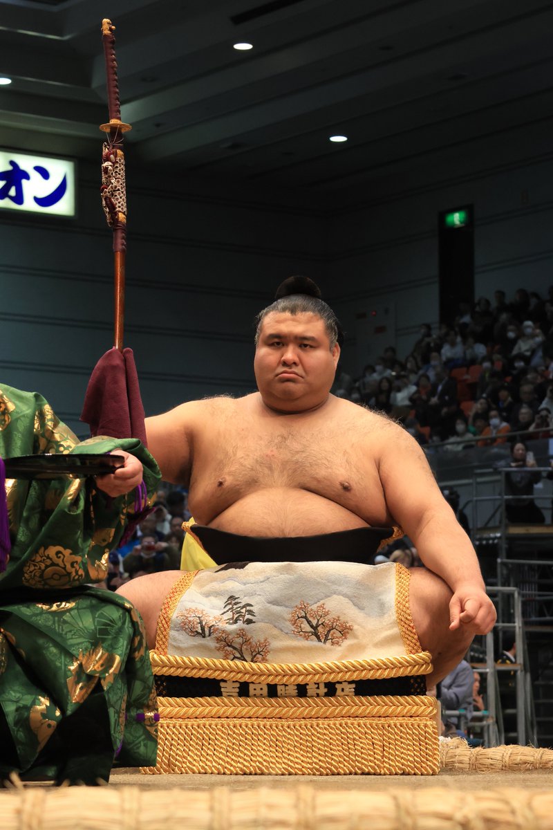 二日目の様子＞ 横綱 大の里土俵入 #sumo #相撲 #三月場所