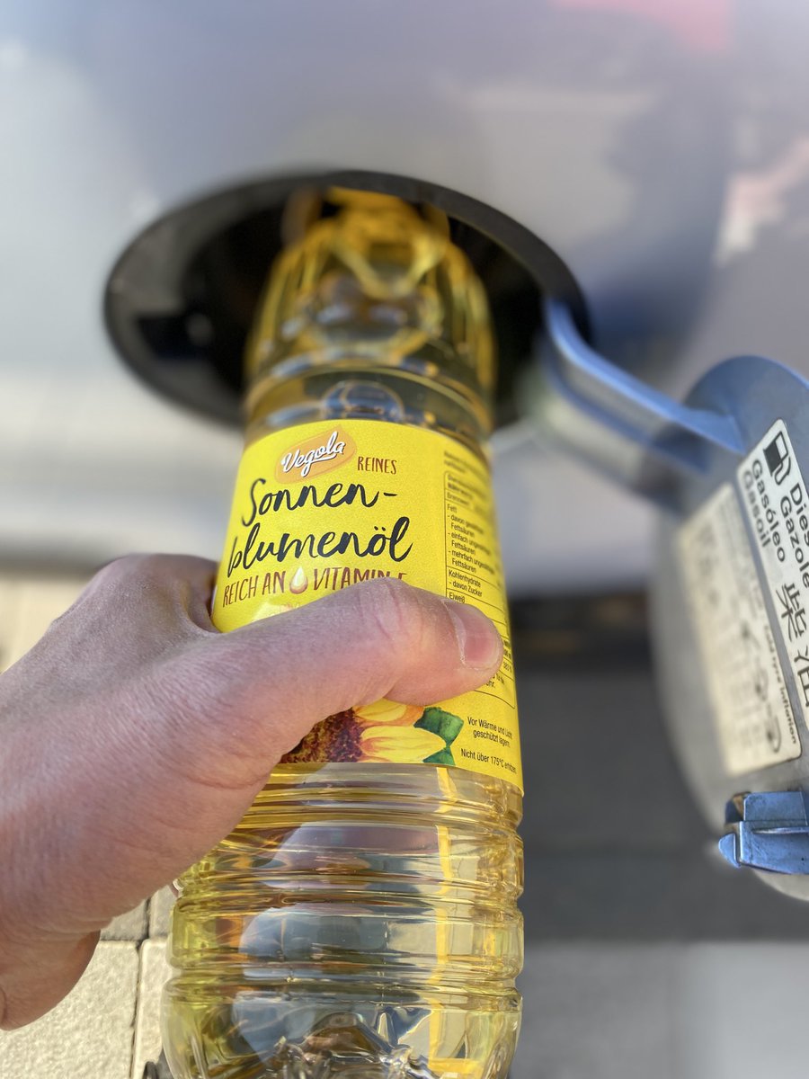 Drybush Heapwood tweet media