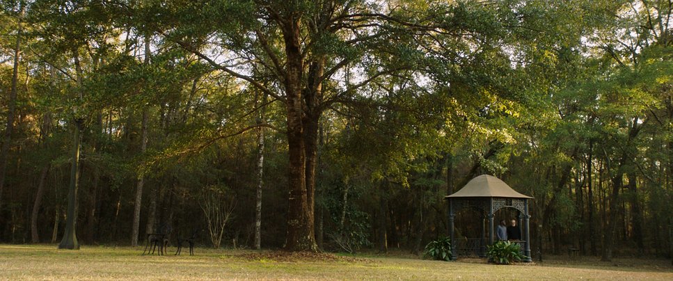 JackOCine's tweet image. Dans #GetOut, Jordan Peele ne renie pas totalement son passé d'humoriste : il distille ici et là des éléments comiques visant à souligner l'absurdité de la situation - bien réelle, ce qui est d'autant plus glaçant. Un thriller politique réalisé d'une main de maître.