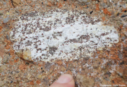 Planet_Terre's tweet photo. Le volcan de Bournac (Saint-Front, Haute-Loire) : ses charnockites, ses enclaves de croute inférieure, ses kaersutites…
– Brèches magmatiques à enclaves de croute continentale et de basalte à amphiboles
– par Pierre Thomas #géologie #teamSVT
https://t.co/hnhHmGWIrZ https://t.co/xlXw3s8xeS