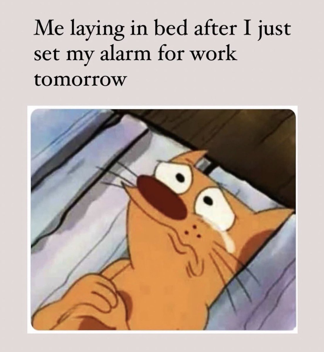 RespectfulMemes's tweet photo. https://t.co/ezjcwaOSLU