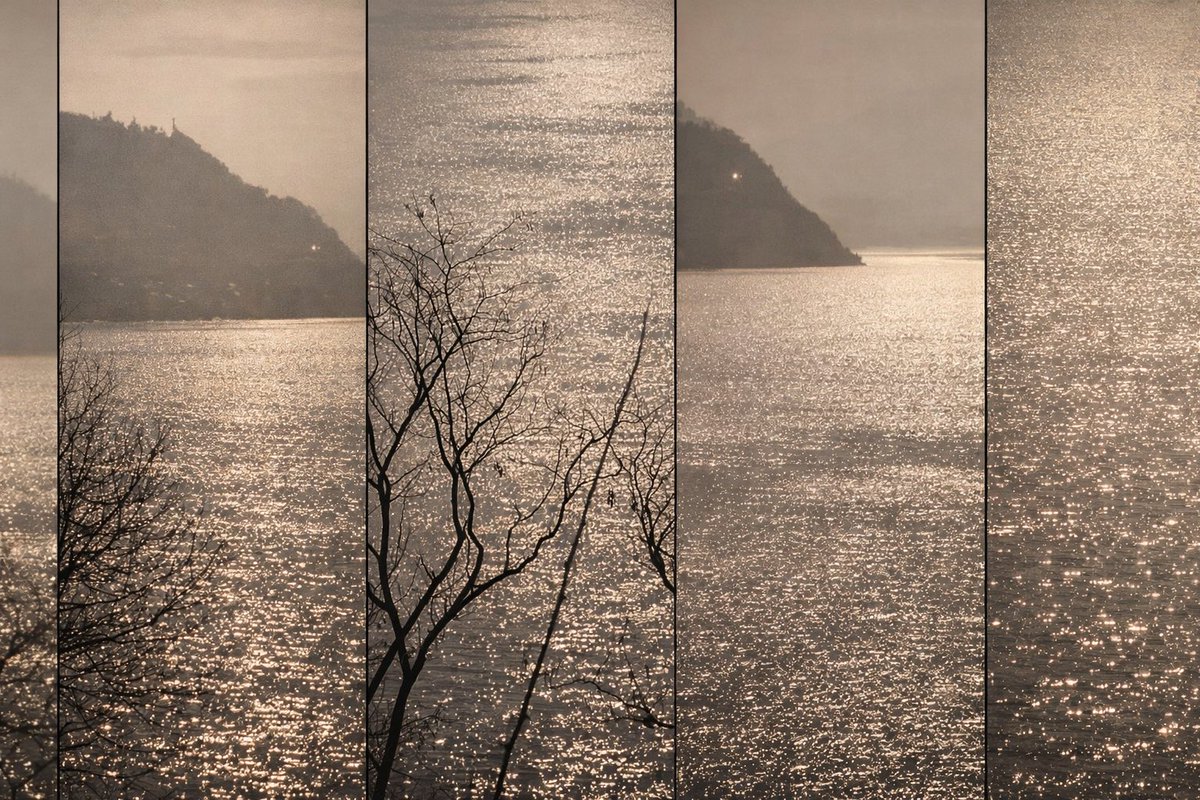 Myra Wang tweet media